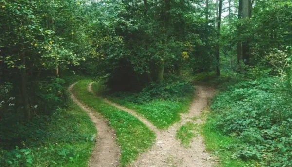 come scegliere un corso di italiano